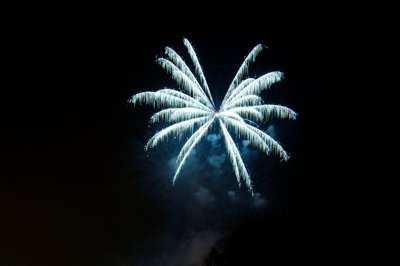 Palmier dans le ciel_4589675463_l.jpg